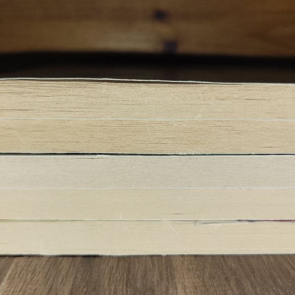 Girls of 622 Harbor View Project:  Series Books 1-4 & 6 - Picture 11 of 13